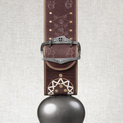 Alpine n°7 avec collier cuir