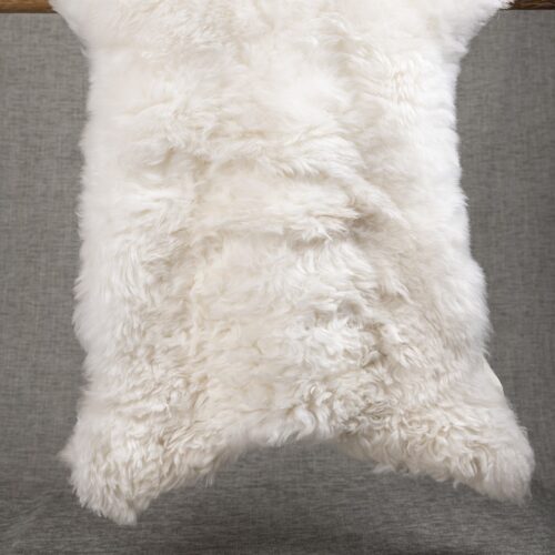 Peau mouton d'Islande